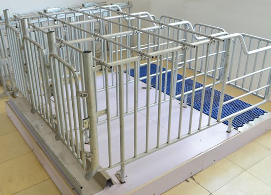 Gestation Stall Type B