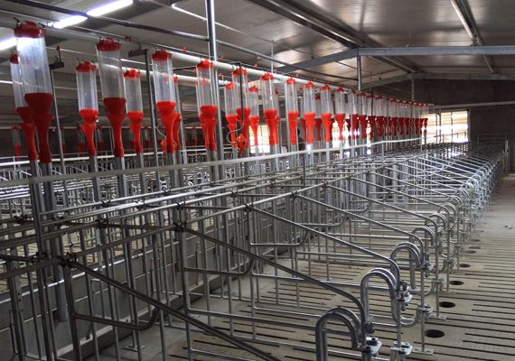 Auger Feeding System