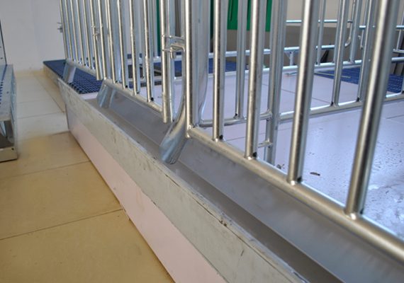 Gestation Stall Type A - Image 3