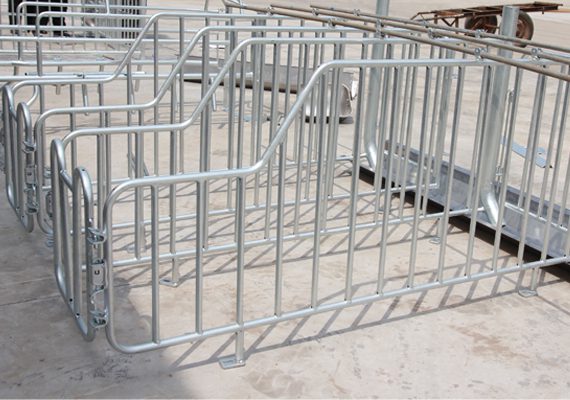 Gestation Stall Type A - Image 2