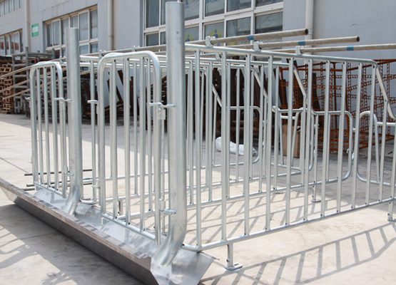 Gestation Stall Type D