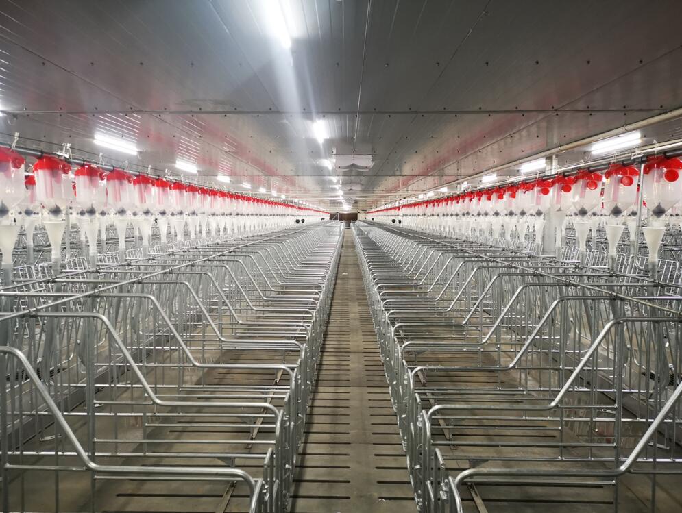 Gestation Stall Type A