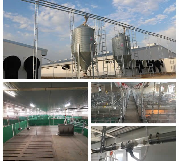 pig-farming-equipment-supplier