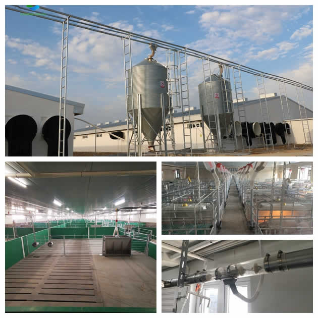 Pig Farming Equipment Supplier