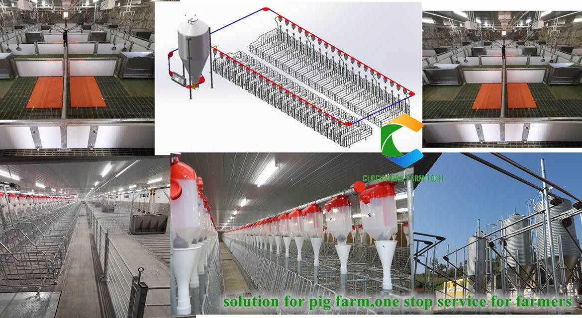 Solution for Pig Farm