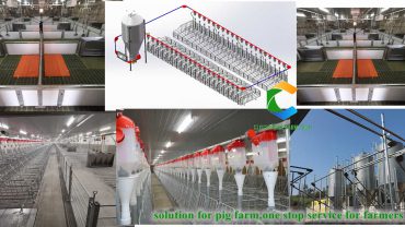 solution-for-pig-farm