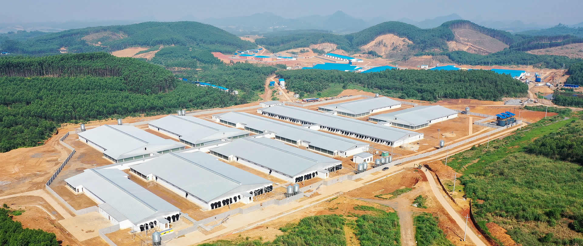 Efficient Pig Farming Equipment&SolutionsClockwork Farm